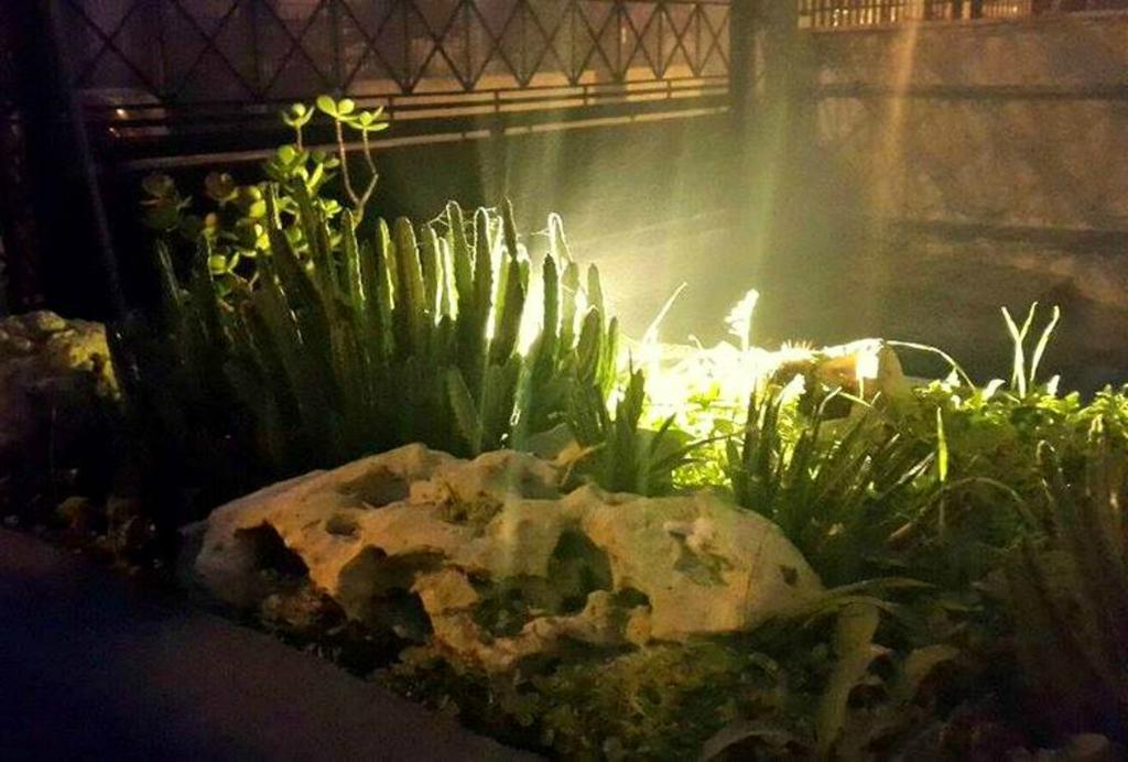 Lo Specchio Del Salento Bed & Breakfast Lecce Dış mekan fotoğraf