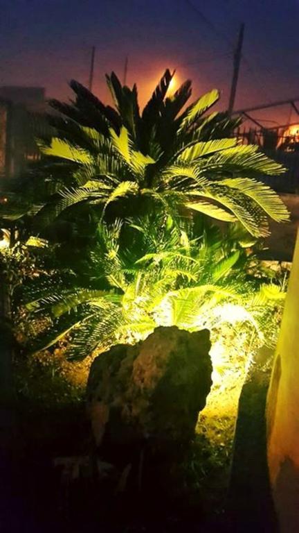 Lo Specchio Del Salento Bed & Breakfast Lecce Oda fotoğraf